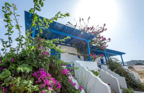 Firoa Studios - Photo 49