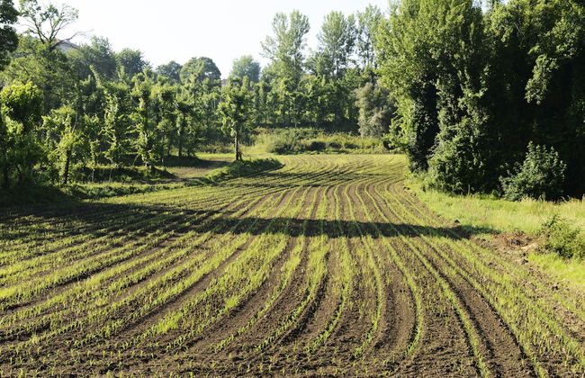 Vale de São Torcato Houses and Wine Bar - Photo 78