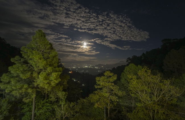 Kamlia 3 BHK Villa By Dumnu Homes - Foto 33