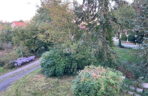 Gästehaus Lauerwald - Foto 23