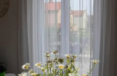 Valdebek Apartments with pool - Photo 25