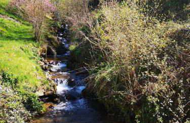 Lodge Les Rêveries de Charles - Foto 23