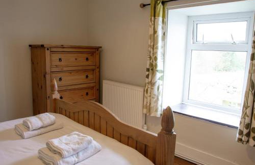 Golan - Ukc4677 - Foto 7