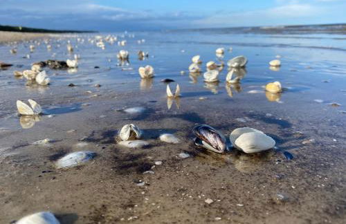 Ferienhaus Kapitänsweg 30 - Foto 21