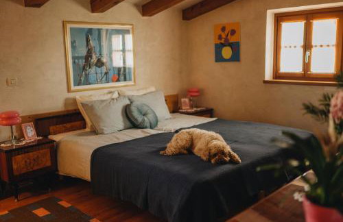 Dreamhill Meloni - Foto 52