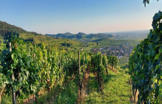 Holiday Apartment Monet in Oberrotweil - Foto 25