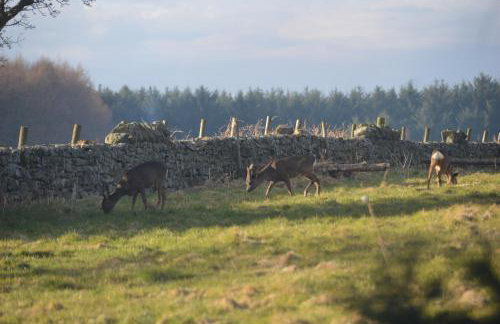 Middlehead Cottages - Foto 14