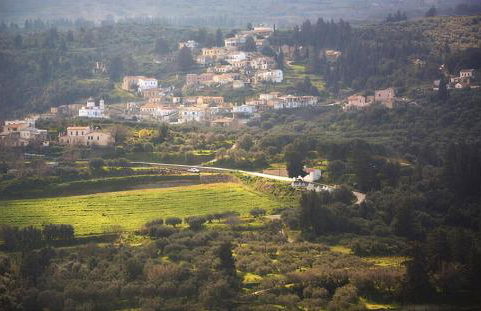 5-bedroom Country House in Crete - Olive Grove Retreat - Foto 29