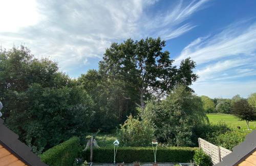 Nordheide mit Hund - Foto 7