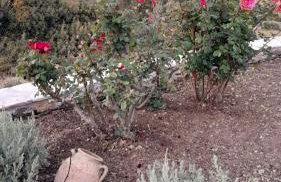 Tsipouras House - Foto 28