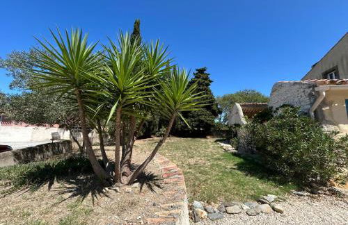 Domaine Les Salices - Foto 3