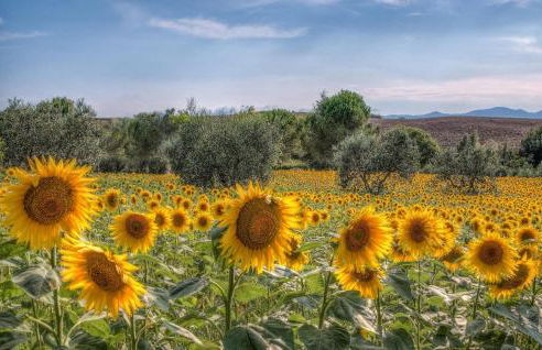 Cozy Apartment In Santa Maria A Monte - Foto 36