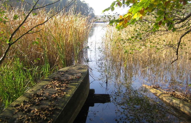 Old Zerwelin Forestry Company - Foto 9