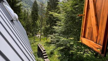 ~Chalet_Rifugio tra i boschi~ - Foto 1