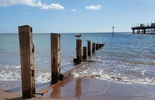 Seaside Apartment in Devon - Foto 13