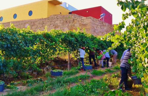 Casa da Caneleira Camélias de Basto - Foto 49