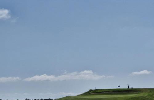 Les Bleuets - Foto 29