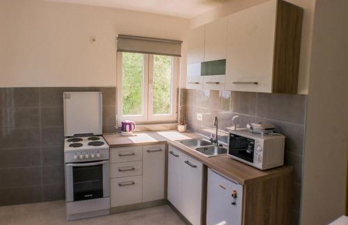 Apartments Frano Ropa - Foto 15