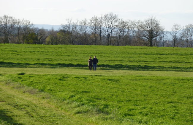 Casale dei Gelsi Bed & Breakfast - Foto 79