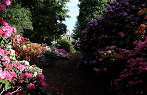 NIENOVO - Apartament Kórnik niedaleko jeziora i widok na Arboretum - Foto 14