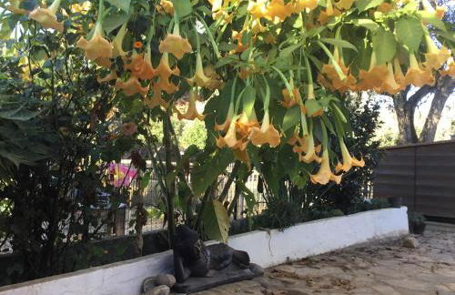 Quinta Boavista - Foto 22