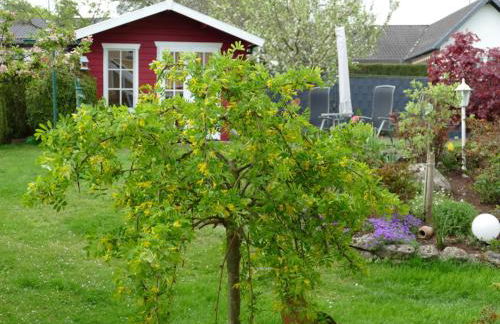 Ferienwohnung Kirsch - Foto 26