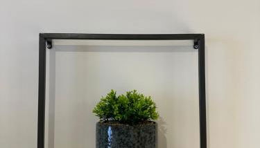 Jungle room - Foto 5