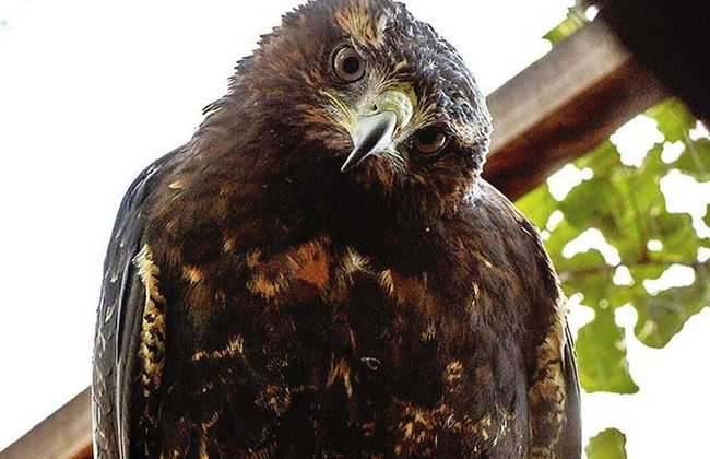 Excursión a Agroflori y Villa Albina - Foto 3