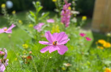 Neurenovierte Ferienwohnung Xaver - Foto 23