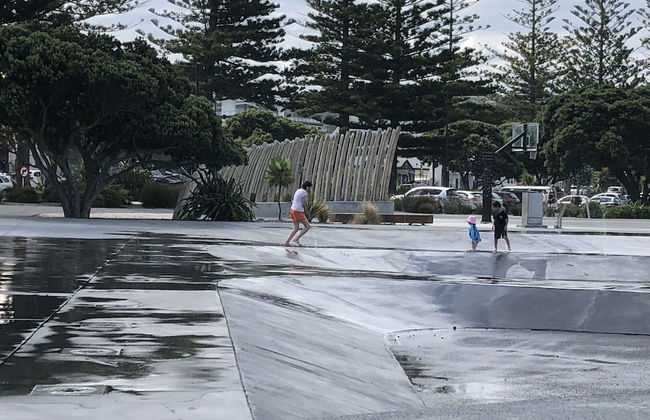 Ocean Front Cottage Napier - Foto 17