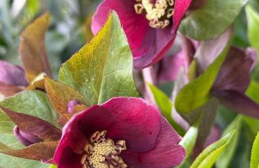 Superb Comfy 2 Bed House, Responsive & Caring Hosts Free WiFi & Parking, Close to MK Centre, Train Station, Santander, Network Rail by Webbhill Stays - Foto 62