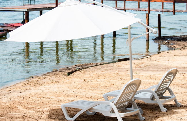 Olivos de Monte - Foto 62