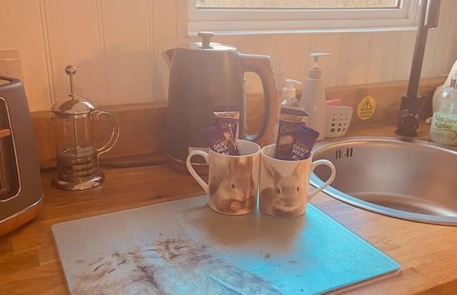 A Beautiful, Unique Lodge, Made for two - Photo 69