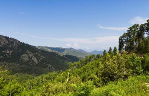 1 Bedroom Amazing Apartment In Ghisoni - Foto 13