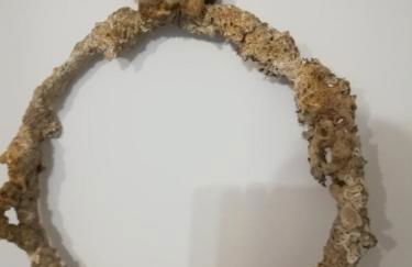 Almira Kalamos - Foto 22