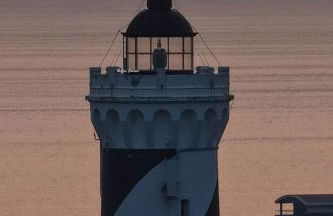 La Rose des Landes - Foto 6