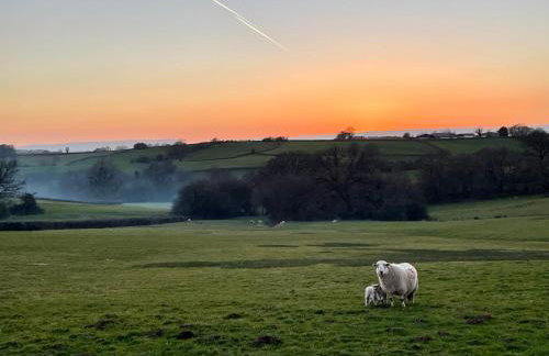 Harrys Hideout - Shepherd's Huts at Harrys Cottages - Foto 40