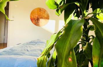 Ruheoase im Herzen von München - Foto 32