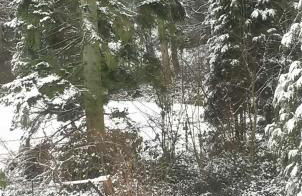 Ferienwohnung An der Königstraße - Foto 18