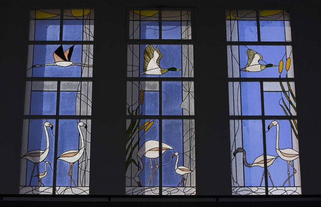 Tour in Amposta - Photo 8