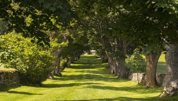 Glenmorangie House - Photo 2