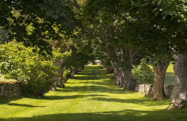 Glenmorangie House - Foto 2