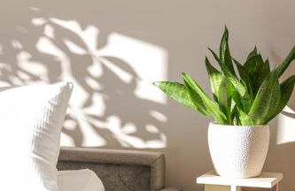 Troja Living Helena - Wohnung zentral in Bruchsal - Foto 27