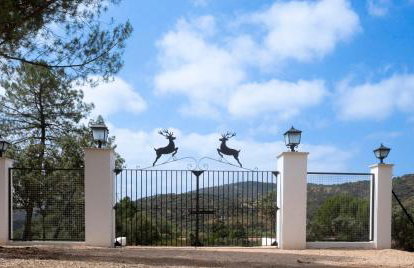 EL ENEBRILLO de Despeñaperros - Foto 43