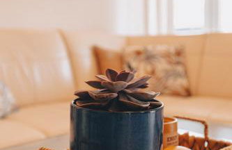 Apartman Marina - Foto 19