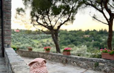 Podere di Montecchio - Le Andane - Foto 22