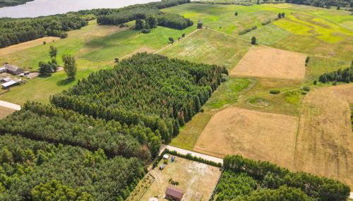 Jak u Dziadka - Foto 2