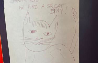 Comfy child/dog friendly garden flat heart Camden - Foto 13