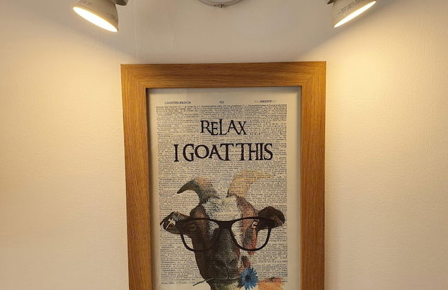 Dartmoor Reach Alpaca Farm - Foto 17