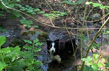 Casa di Anita - Foto 29